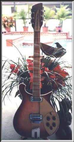 Rickenbacker 660/12