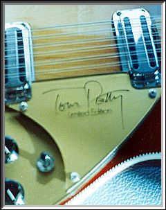 Rickenbacker 660/12TP pickguard