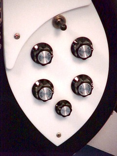 Rickenbacker Model 360/12