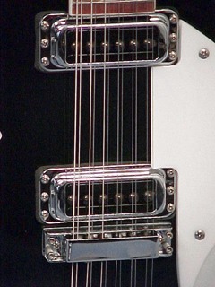 Rickenbacker Model 360/12