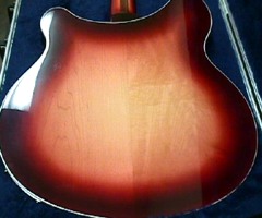 Rickenbacker Model 360/12 VP