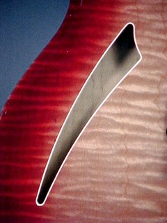 Rickenbacker 360CW "Carl Wilson"