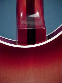 Rickenbacker Model 360V64