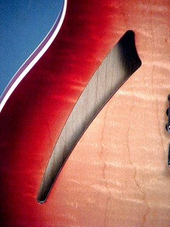 Rickenbacker Model 360V64