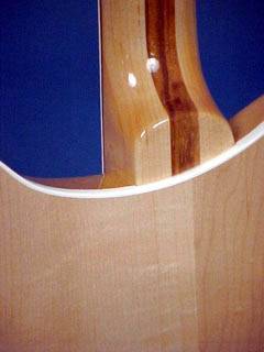 Rickenbacker Model 360VP