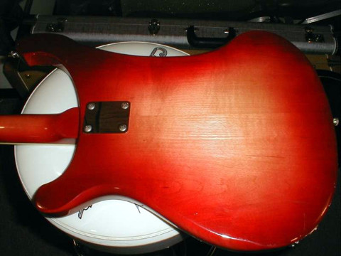 Rickenbacker Model 480