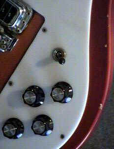 Rickenbacker Model 483