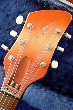 Rickenbacker Model Combo 1000